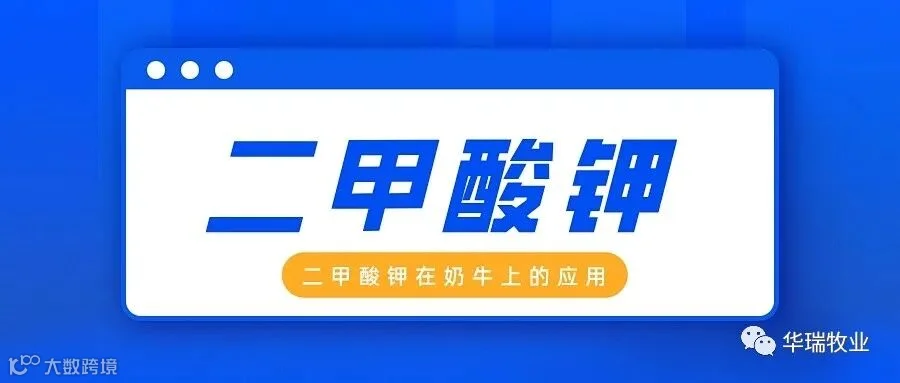 奶牛 钾.jpeg