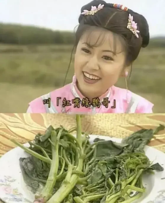 紫薇真的太有才了!红嘴绿鹦哥,在天愿作