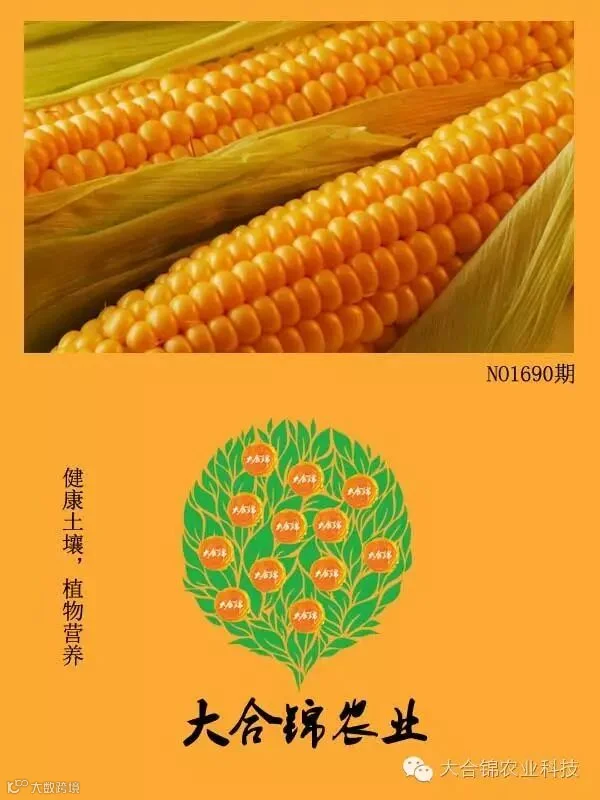 http://7xo6kd.com1.z0.glb.clouddn.com/upload-ueditor-image-20160712-1468309300568046351.jpg