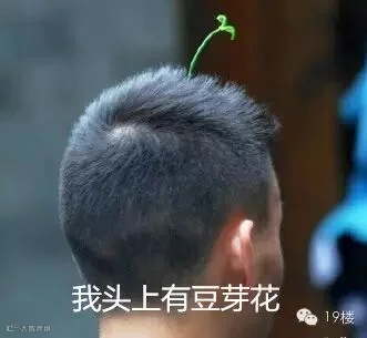 820f43e8gw1evg5qtf5k5j209708hdgd_副本.jpg
