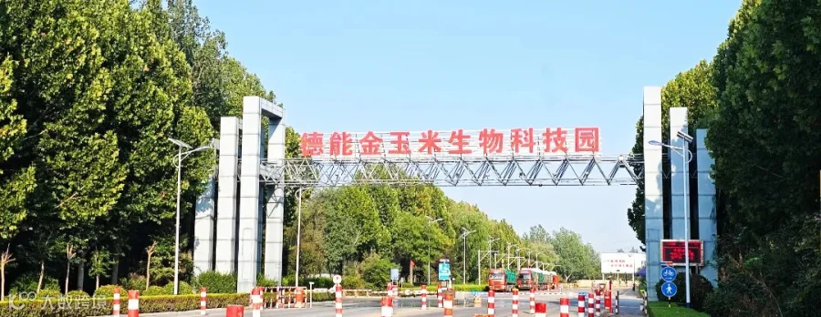 内图一.jpg