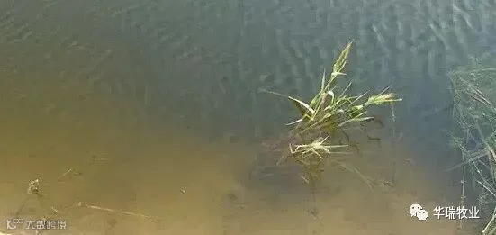 水质.jpg