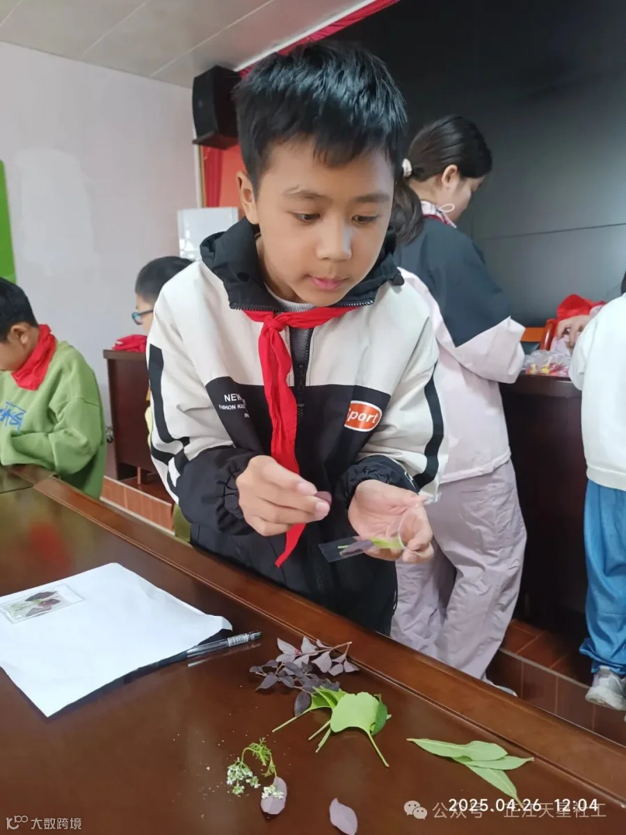 微信图片_20250427151431.jpg