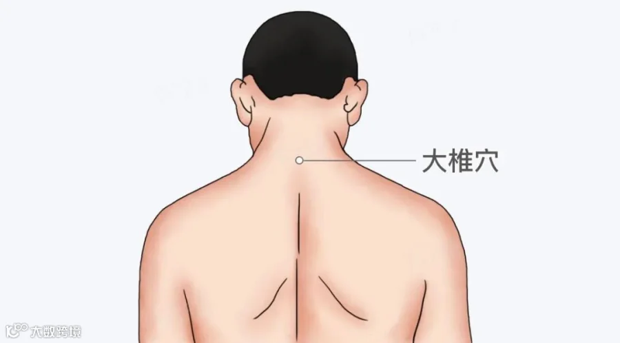 大椎穴.jpeg