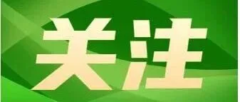 你举杯、我拿针！贵州绿茶和苗绣让老外点赞连连
