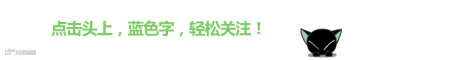 跳跃猫引导关注