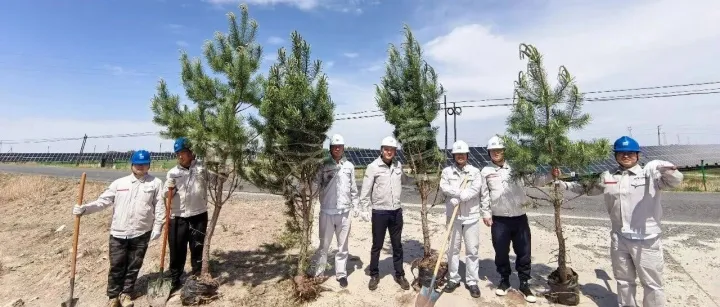 植绿添新意 场站焕新颜