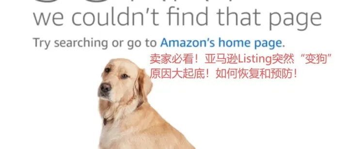 卖家必看！亚马逊Listing突然“变狗” 原因大起底！如何恢复和预防！
