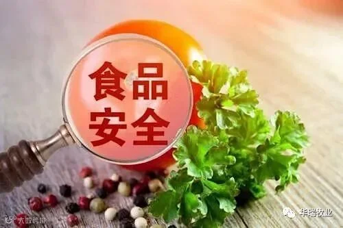 食品安全.jpg