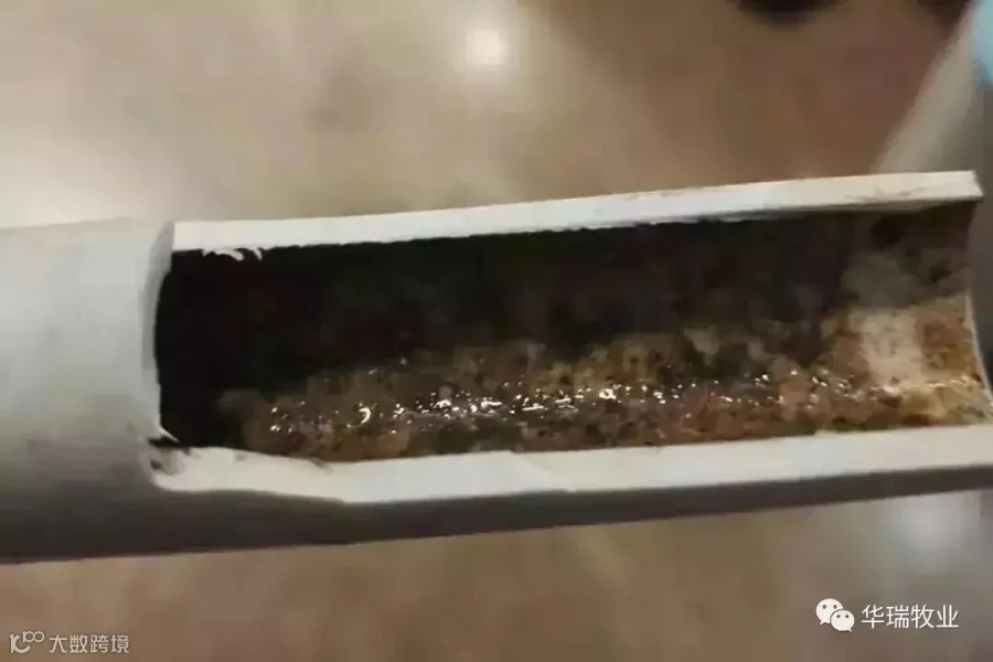 水管.jpg