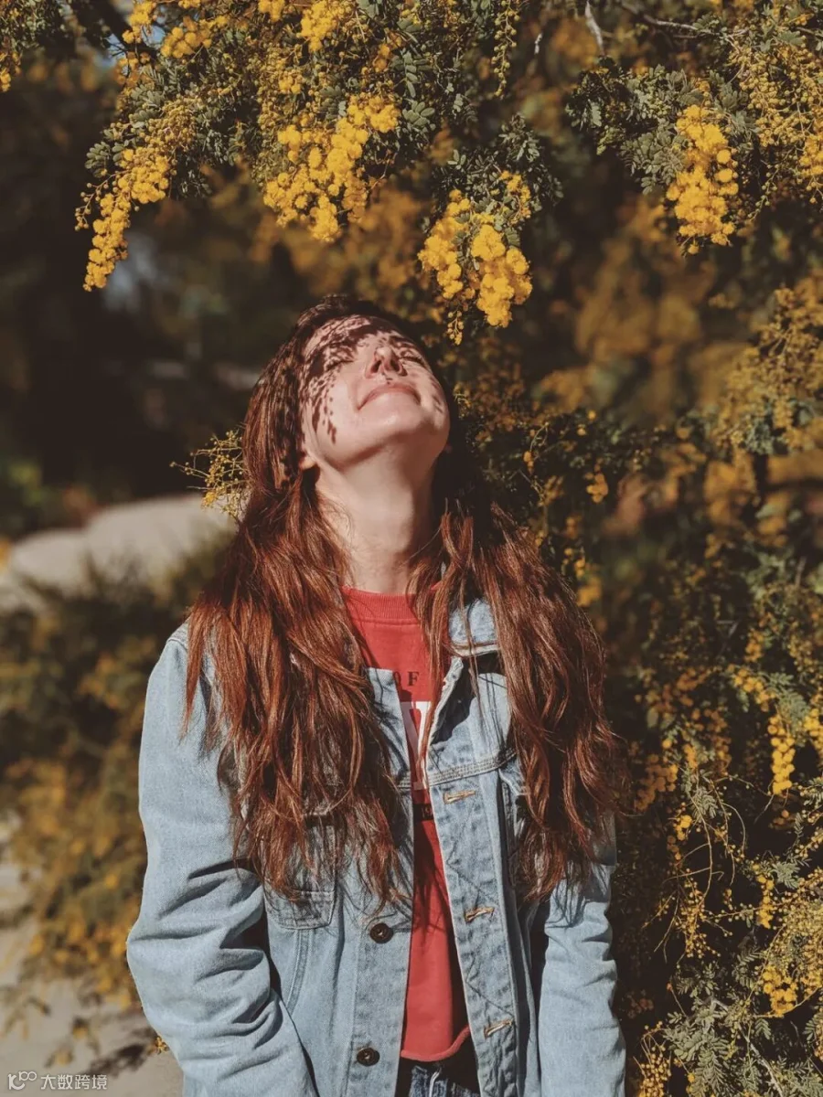 pexels-photo-2788852.jpeg