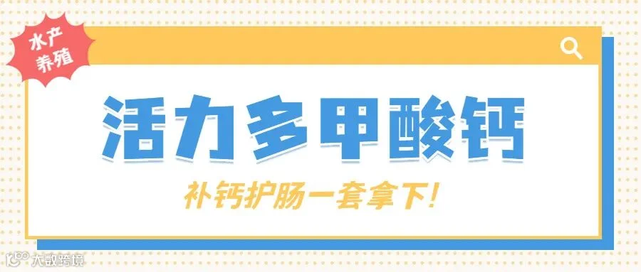 活力多.jpg