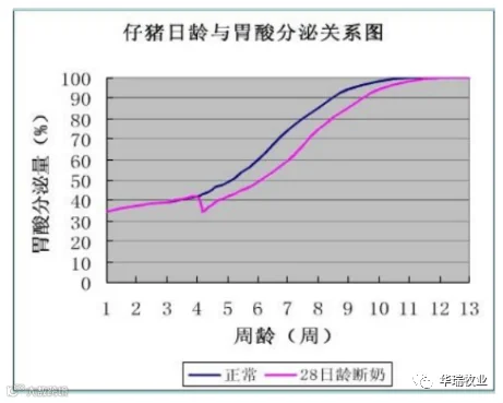 仔猪胃酸分泌.png