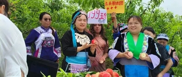 人民网 | 贵州贵定：桃林深处开直播 田间课堂促增收