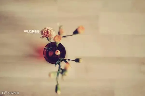 花儿