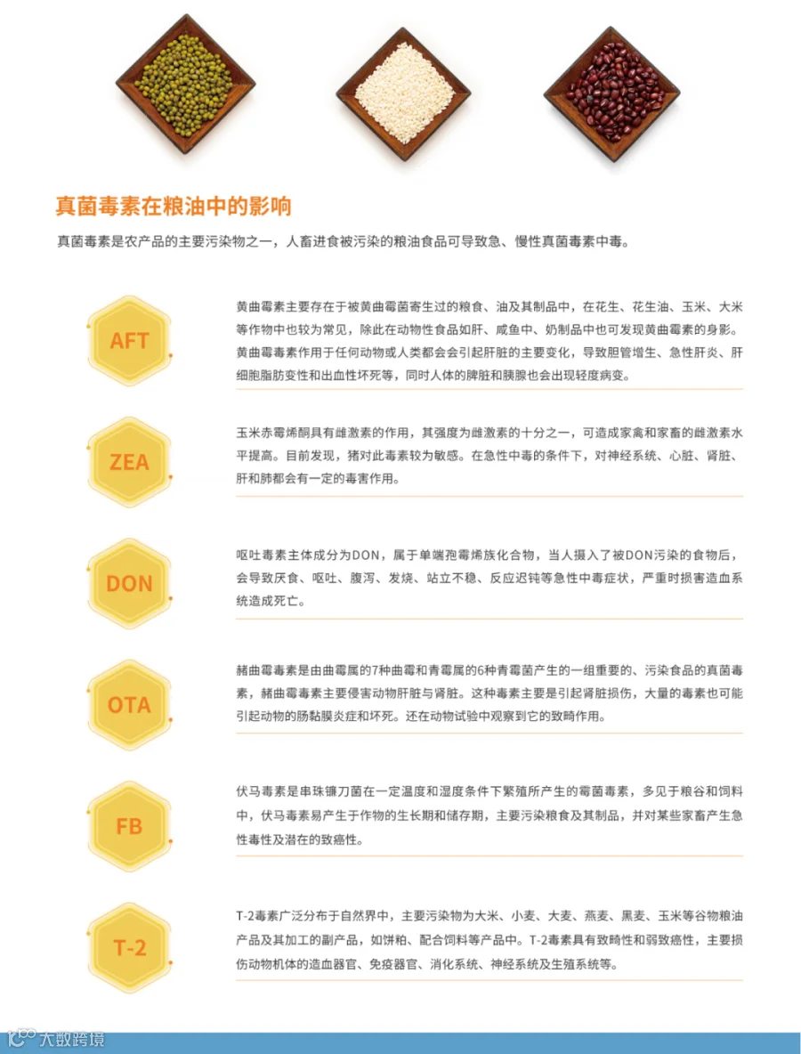 电子版互易包装宣传侧-8.jpg