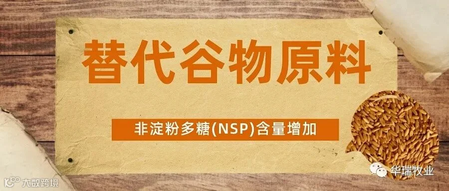 替代谷物原料.jpeg