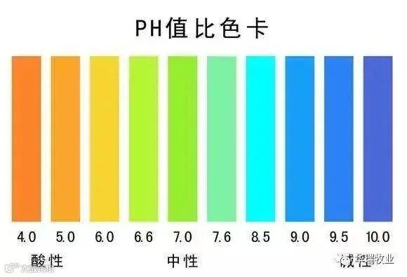 pH值比对.jpeg