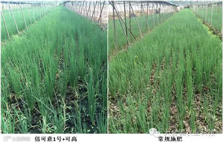 http://7xo6kd.com1.z0.glb.clouddn.com/upload-ueditor-image-20160720-1468986139020015134.png