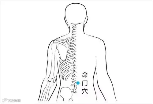 命门疼,腰椎,腰间_大山谷图库