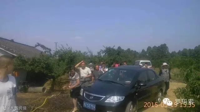 1432089359804456.jpg