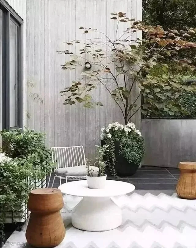 庭院,还是纯白色的最美_6