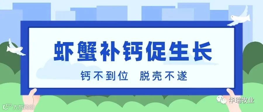 虾蟹补钙.jpg