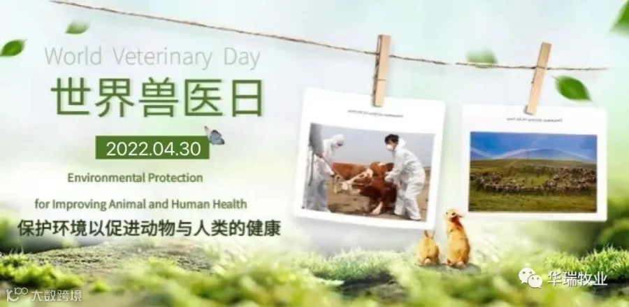 兽医日.jpg