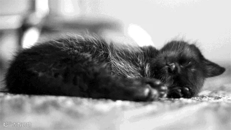 15.gif