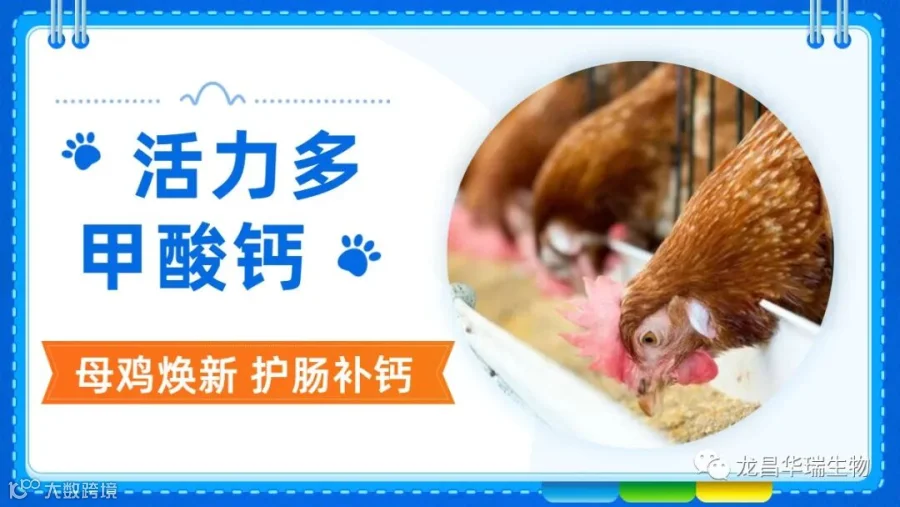 活力多.jpg