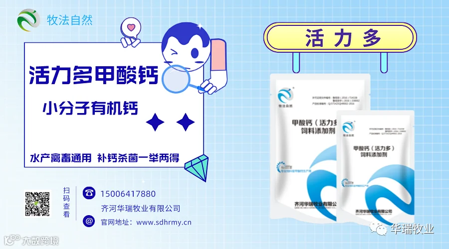 活力多 营销海报 .png