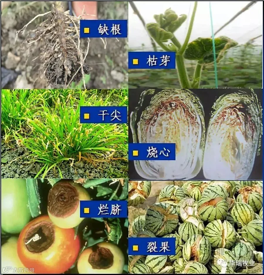 111_副本.jpg
