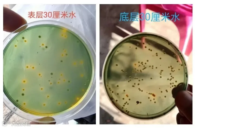 取水.jpg