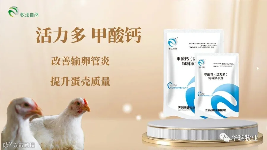 活力多.jpg