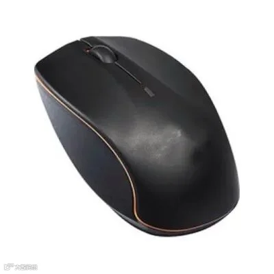 mouse-1.jpg