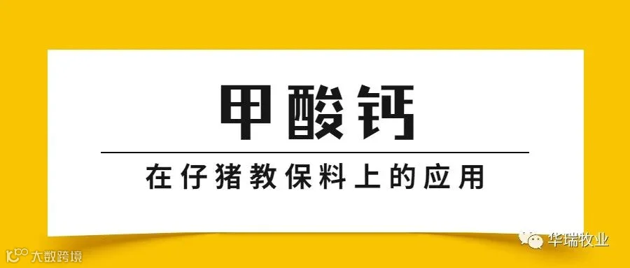 甲酸钙.jpg