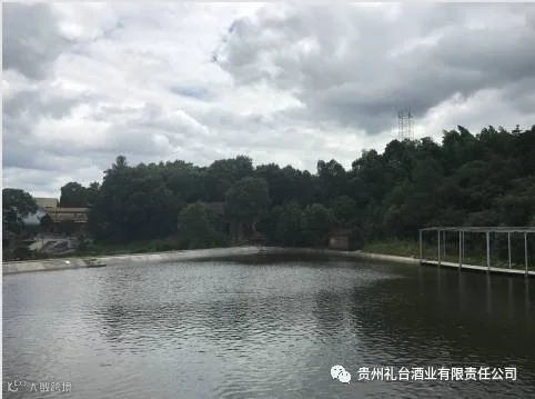 1707203468.png