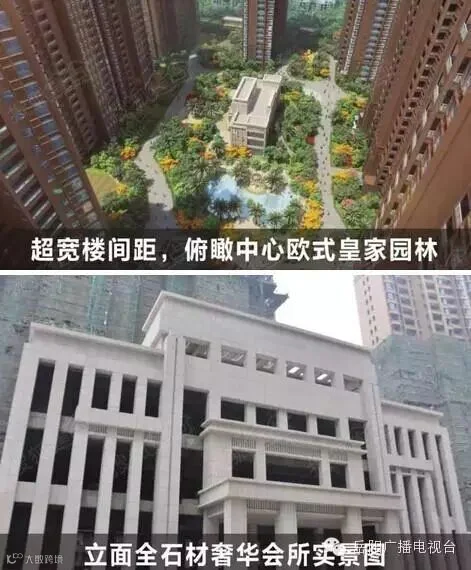 天伦国际