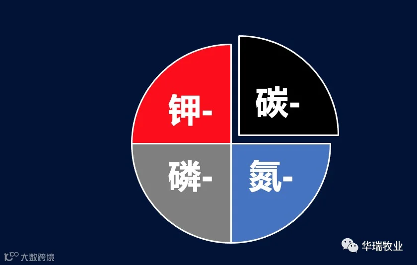 111.png