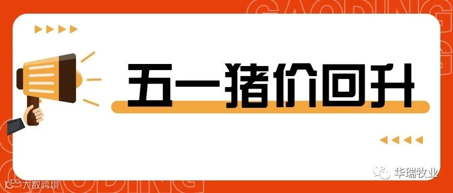 猪价1 .jpg