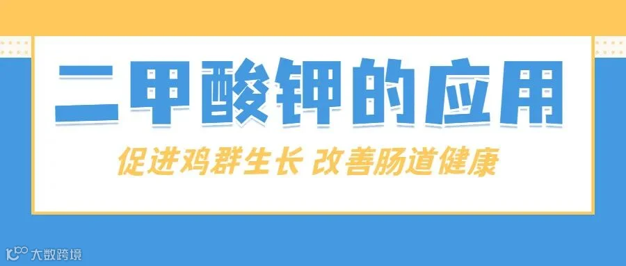 二甲酸钾封面.jpg