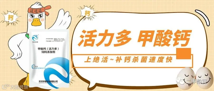活力多.jpeg