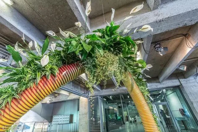 该项目采用了双向设计模式,将龙型作为结构外观,整体看来线条平滑,逼真灵活。“双龙藤架”的构思在一定程度上也体现了设计师的理念,他将工业原料与自然植物结合在一起。在该项目中,繁茂的植物似乎长于巨大的管型结构中,并沿着管梁盘绕,直达墙面。其中,两条着色的管道也互相扭转交织,就这样,绿色的植物和美丽的花卉似乎悬挂在中央的走廊上方,来往的游客抬头便可看到。
