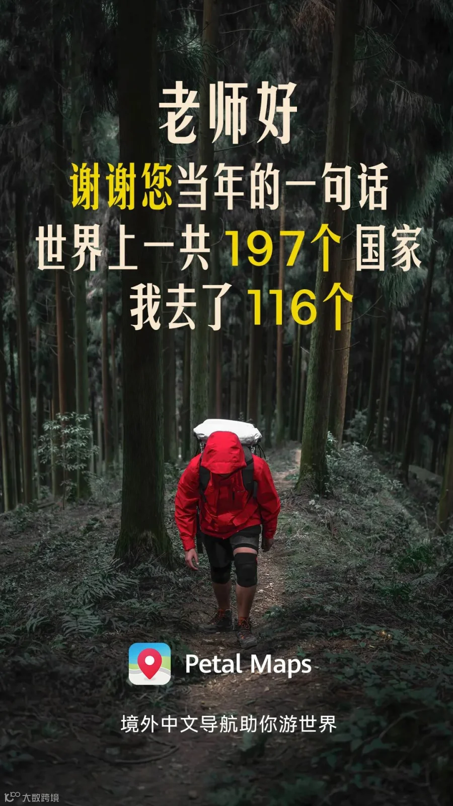 华为2.jpg