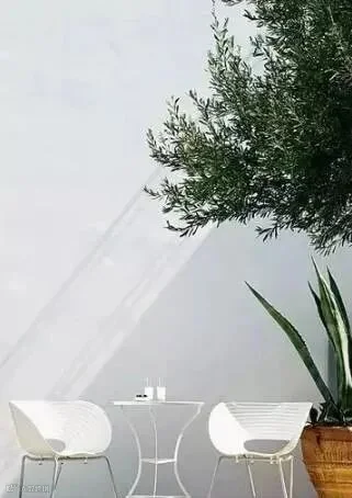 庭院,还是纯白色的最美_9