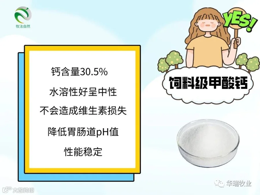 甲酸钙结晶 .jpg