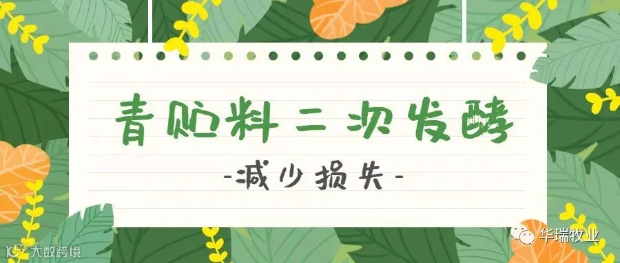 青贮饲料 .jpg