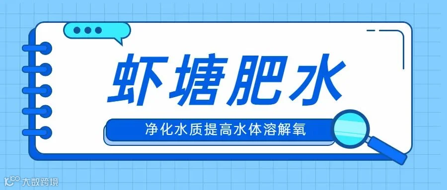 肥水封面.jpg