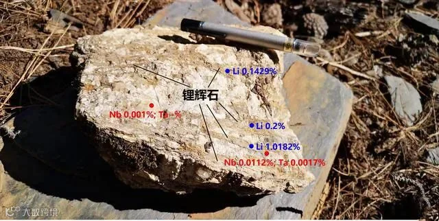 锂矿选厂