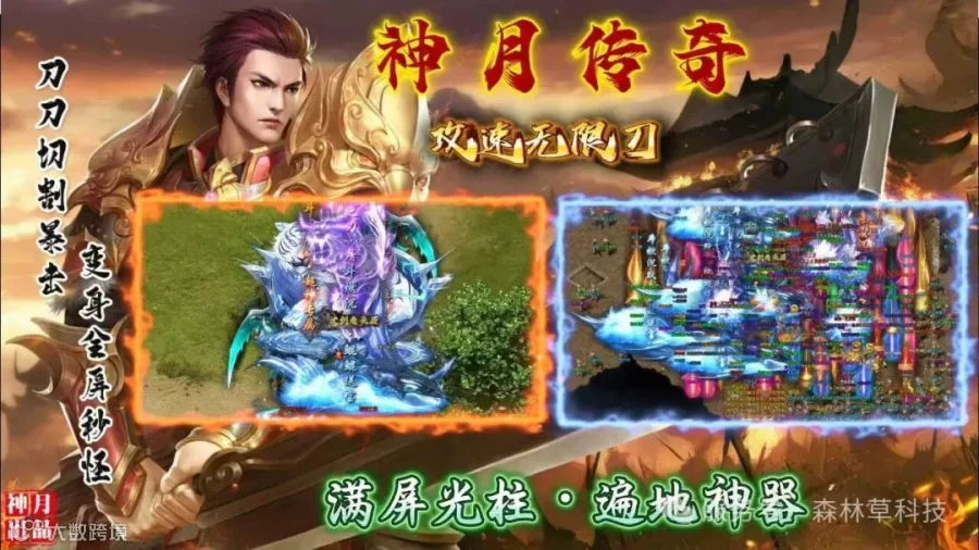 图片